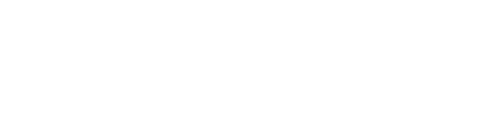 Niubo Logo White